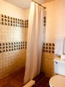 圣费利佩Hotel Las Palmas的带淋浴帘和卫生间的浴室