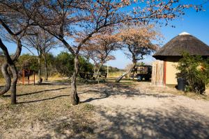 龙杜Hakusembe River Campsite的树旁茅草屋顶的建筑