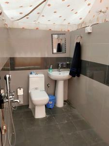 达兰萨拉Hill Ventures - Swiss Glamping with Adventure Activities的一间带卫生间和水槽的浴室