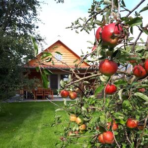 Hazerswoude-RijndijkLodges near the Rhine - Sustainable Residence的房子前面的苹果树