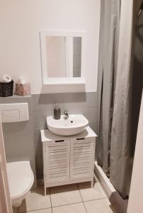 奥贝奈A Mi Chemin的一间带水槽、卫生间和镜子的浴室