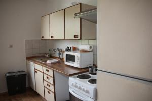 波鸿亚伯公寓的厨房配有炉灶和微波炉。