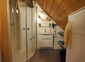 多恩比恩Haus Fiel的带淋浴和盥洗盆的浴室