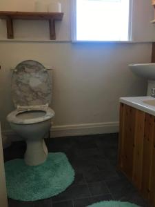 布里德灵顿Clifftop Apartment的浴室设有卫生间和绿色地毯。