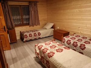 扎沃亚Willa Wiktoria的小木屋内带两张床的房间