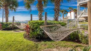 奥兰治比奇奥兰齐海滩智选假日酒店 - 海滩的棕榈树庭院里的一排吊床