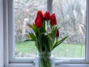 GunnersideJoe House的窗户上红白花的花瓶