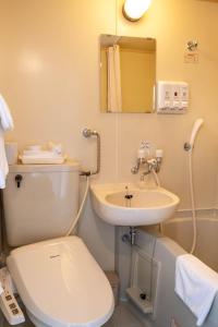 函馆Hotel Sharoum Inn 2的一间带卫生间和水槽的浴室