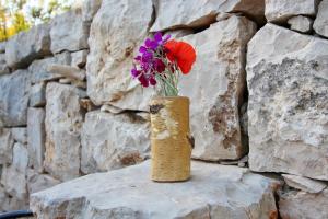 巴比诺波尔杰Apartments Felix的花瓶,花朵盛在岩石上