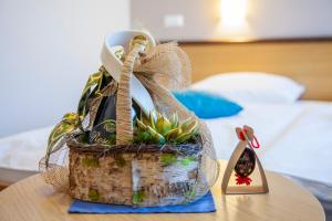 梅特利卡贝拉克拉伊纳酒店的放在桌子上的一篮子,里面装有植物