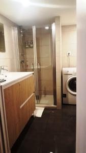 里昂Cosy appartement, dans les pentes de la Croix Rousse的带淋浴、盥洗盆和洗衣机的浴室