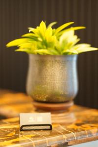 布里斯班杰甫逊公寓及酒店的一张桌子,上面有花瓶,有黄色的花朵和遥控器