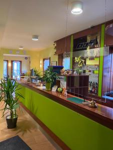 齐恩多夫佐多夫公寓酒店的植物餐厅里的绿色酒吧