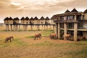 TsavoSalt Lick Safari Lodge的一群大象在建筑物前行走