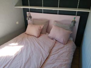 维尔通Le jardin d'Eugénie gîte a Virton en pleine nature的一张小床,上面有两个粉红色的枕头