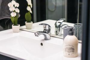 圣康坦Appartement "le Terminus " Gare-Cosy-Wifi 6 Personnes的浴室水槽,配有1瓶肥皂和1面镜子