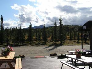 希利White Moose Lodge的野餐区设有野餐桌和种有树木的场地
