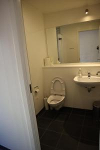 哥本哈根Rooms in quiet Yellow Courtyard Apartment的一间带卫生间、水槽和镜子的浴室