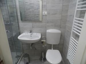 威尼斯多赛公寓的浴室配有卫生间、盥洗盆和淋浴。