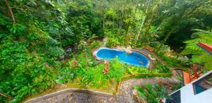 纽沃阿雷纳尔阿瓜酒店的享有花园空中美景,设有游泳池