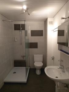 巴塞尔奇奇住宿加早餐旅馆的浴室配有卫生间、淋浴和盥洗盆。
