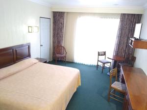 萨莫拉-德伊达尔戈HOTEL JERICO的配有一张床、一张书桌和一扇窗户的酒店客房