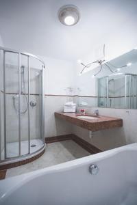 拉松迪索托阿尔本霍夫酒店的带浴缸、淋浴和盥洗盆的浴室
