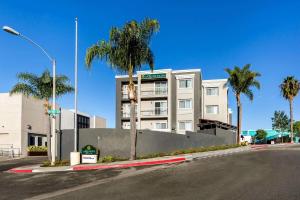 圣地亚哥圣地亚哥米逊湾拉昆塔套房酒店 的街道前方有棕榈树的建筑