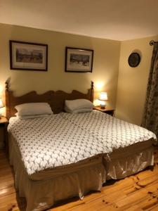 波塔姆纳Lodge in Portumna Ireland的一间卧室配有一张大床和两盏灯