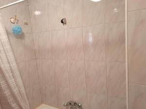桑坦德Apartamento centro Santander的带淋浴和浴帘的浴室