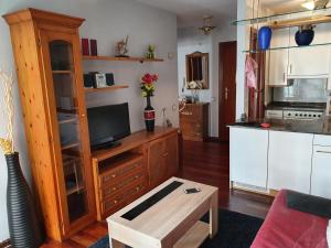 桑坦德Apartamento centro Santander的带电视的客厅和厨房。