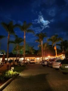 圣巴巴拉玛丽娜海滩汽车旅馆的夜间有棕榈树的停车场