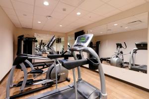 贾斯珀贾斯珀赤红酒店的健身房设有数台跑步机和有氧运动器材