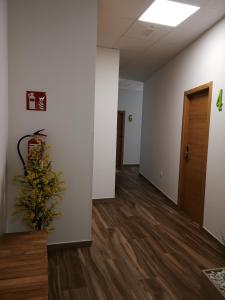 米拉多罗Apartamentos Antares 2的办公室里的一个空走廊,有植物