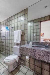 卡鲁阿鲁Citi Hotel Express Caruaru的一间带卫生间、水槽和镜子的浴室