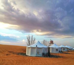 ShāhiqAlsarmadi Desert Camp的沙漠中一排帐篷