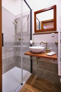 奥洛穆茨Royal Pension的一间带水槽和淋浴的浴室