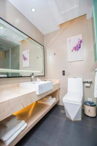 大连麗枫酒店·大连星海公园店的一间带水槽、卫生间和镜子的浴室