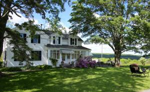 NewfieldEnfield Manor Bed&Breakfast and Vacation Rental的白色的房子,有草坪和树木