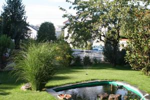 莱茵河畔威尔Gästehaus am Weiher的草丛中带池塘的花园
