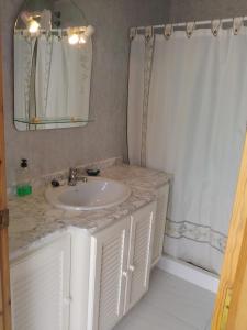 圣卡洛斯拉腊皮塔Villa Montsià的一间带水槽和淋浴帘的浴室