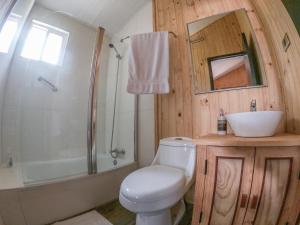 柴滕Cabañas Parque Michimahuida的浴室配有卫生间、盥洗盆和淋浴。