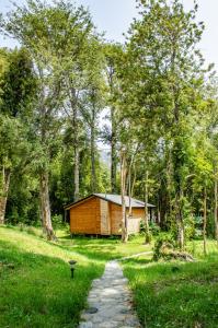 柴滕Cabañas Parque Michimahuida的树林中的小屋,有一条通往小屋的路径
