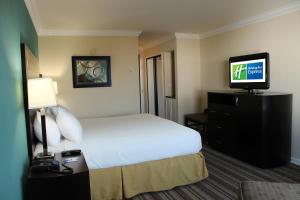 范奈斯范奈伊斯智选假日酒店的配有一张床和一台平面电视的酒店客房