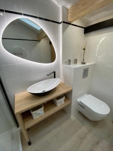 圣让-德吕兹Bel appartement vue mer - 1er rang front de mer的一间带水槽、卫生间和镜子的浴室