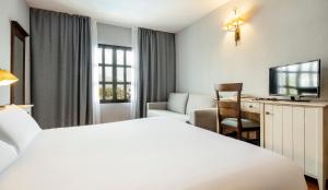 米哈斯Ilunion Hacienda de Mijas的酒店客房配有一张床、一张书桌和一台电视。