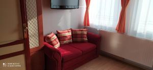 希欧福克Hermina Panzió的客房内的红色沙发,配有枕头