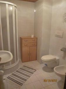 圣杰内肖阿泰西诺Gasthof zum Roessl的浴室配有卫生间、盥洗盆和淋浴。