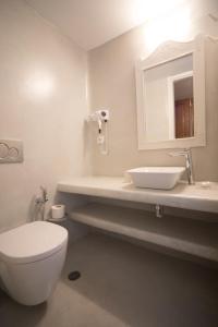 费拉歌诗达海滨别墅酒店的一间带卫生间、水槽和镜子的浴室