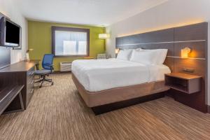 哥伦布Holiday Inn Express Columbus - Ohio Expo Center, an IHG Hotel的酒店客房配有一张床、一张书桌和一台电视。